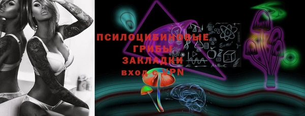 a pvp Арсеньев