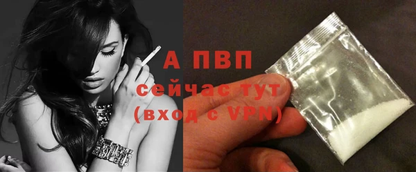 крисы Сосновый Бор