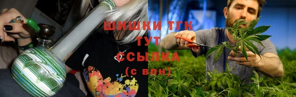 сатива Сосновка