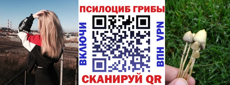 Псилоцибиновые грибы прущие грибы  darknet Telegram  Жирновск 
