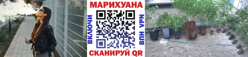 Бошки марихуана SATIVA & INDICA  сайты даркнета Telegram  Жирновск 